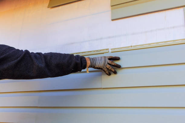 Best Aluminum Siding Installation  in South San Jose Hills, CA